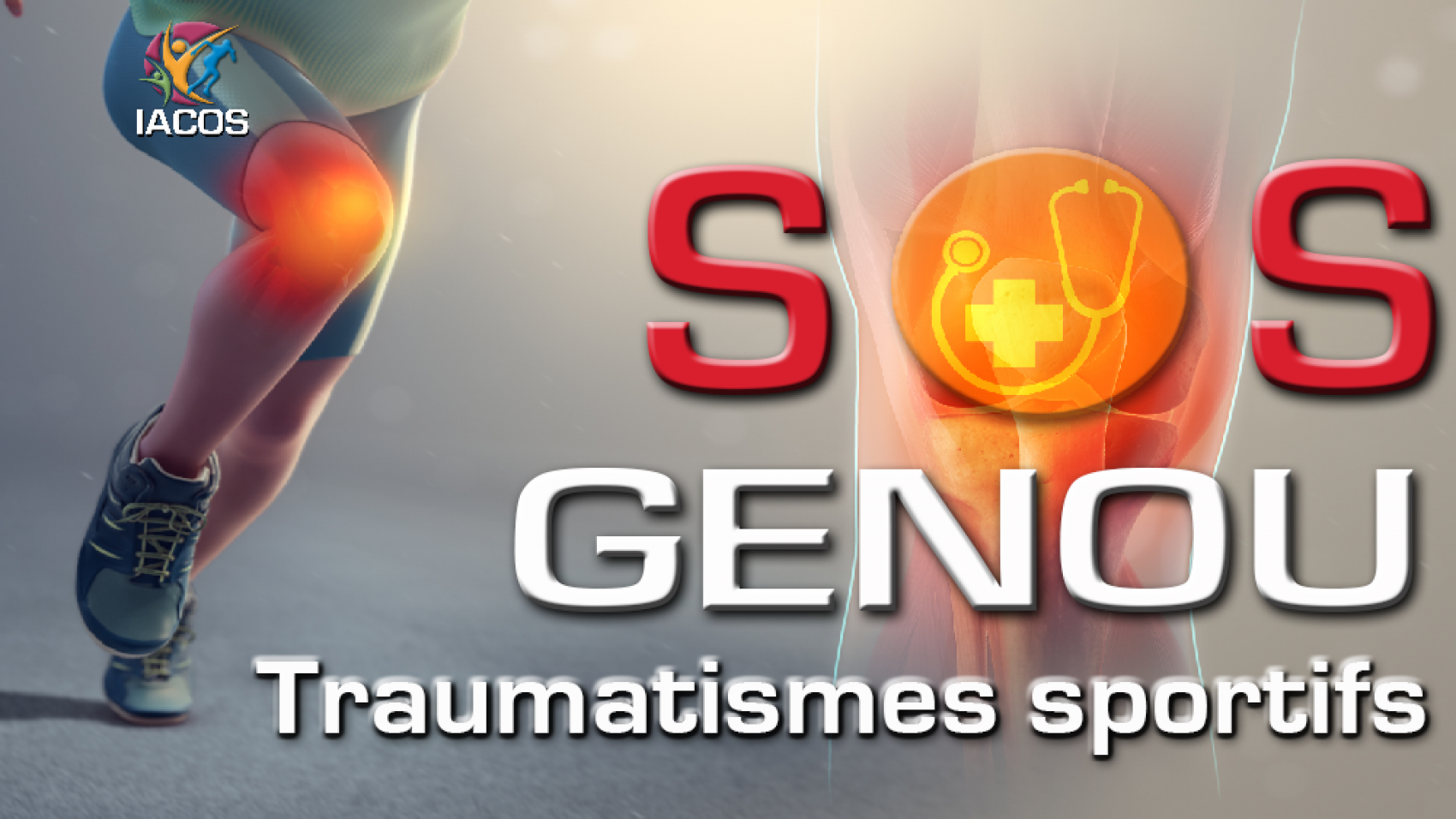 entorse genou rupture ligament croisé antérieur ménisques saint-omer hôpital helfaut clinique